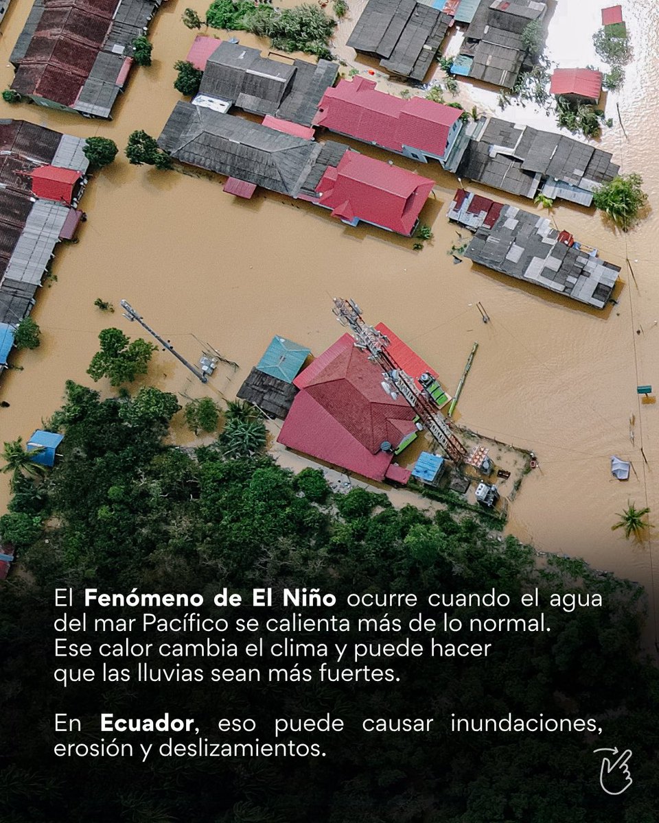 aecidecuador's tweet photo. 🎋 En el #bambú encontramos una solución natural para proteger nuestros territorios frente al #FenómenoElNiño. Sus raíces y tallos sostienen el suelo, frenan el agua y retienen sedimentos cuando las lluvias se intensifican. 

1/3🧵 https://t.co/NcONVsKUEK