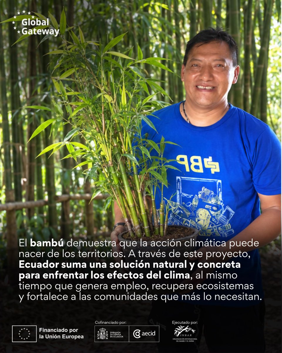 aecidecuador's tweet photo. 3/3 🧵

💧Proteger fuentes de agua y riberas, crear barreras vivas contra la erosión, recuperar suelos degradados y estabilizar laderas con bambú.

🤝 #Cooperamos para enfrentar juntas y juntos el cambio climático.

#SomosCooperación #AcciónClimática https://t.co/6vB7IvKoaP