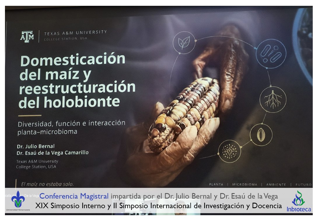 inbioteca's tweet photo. Segundo día de actividades del XIX Simposio Interno y II Simposio Internacional de Investigación y Docencia
#Ecología #Biotecnología #Investigación #Docencia #Posgrado #Simposio #Inbioteca #UniversidadVeracruzana
https://t.co/BlrFWhUuRZ https://t.co/vI5ikcgG2l