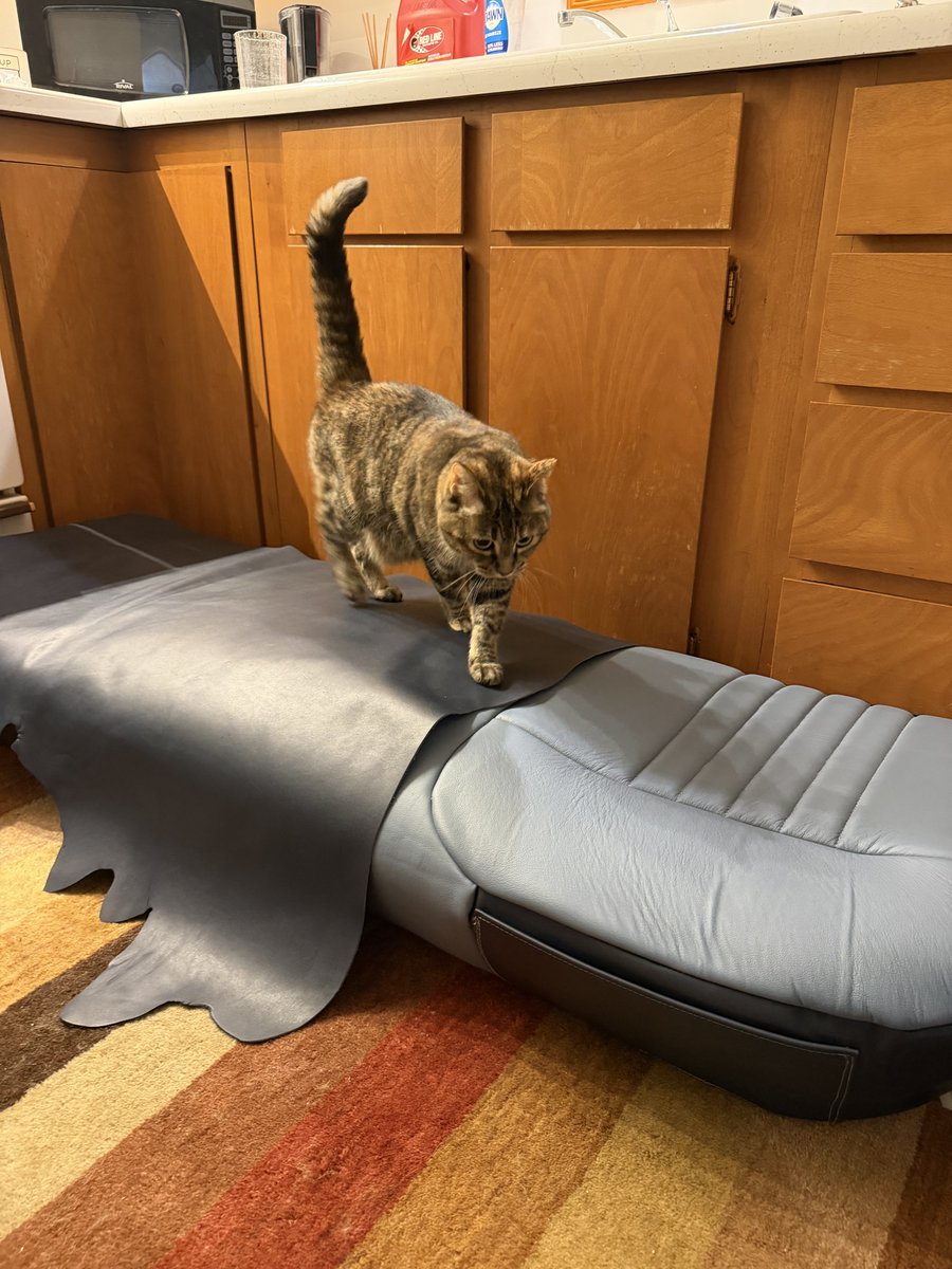 pettyranch's tweet photo. At our secret upholstery lab in an undisclosed location, the refreshed seats for our 1991 F150 undergo farm dog test and evaluation.  Unfortunately,  the Anatolian shepherd simulator might not be heavy duty enough for accurate data. https://t.co/bxqwFX3nnP