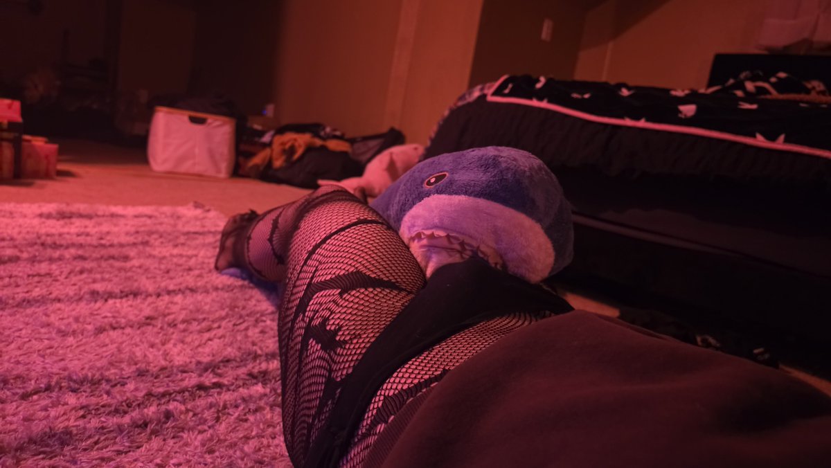 Alex_is_notcute's tweet photo. Moree shark

#nsfw #femboy #femboys https://t.co/futTZT5MEM