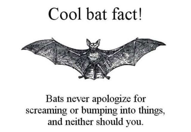 battwting's tweet photo. https://t.co/58EJYPn6gw