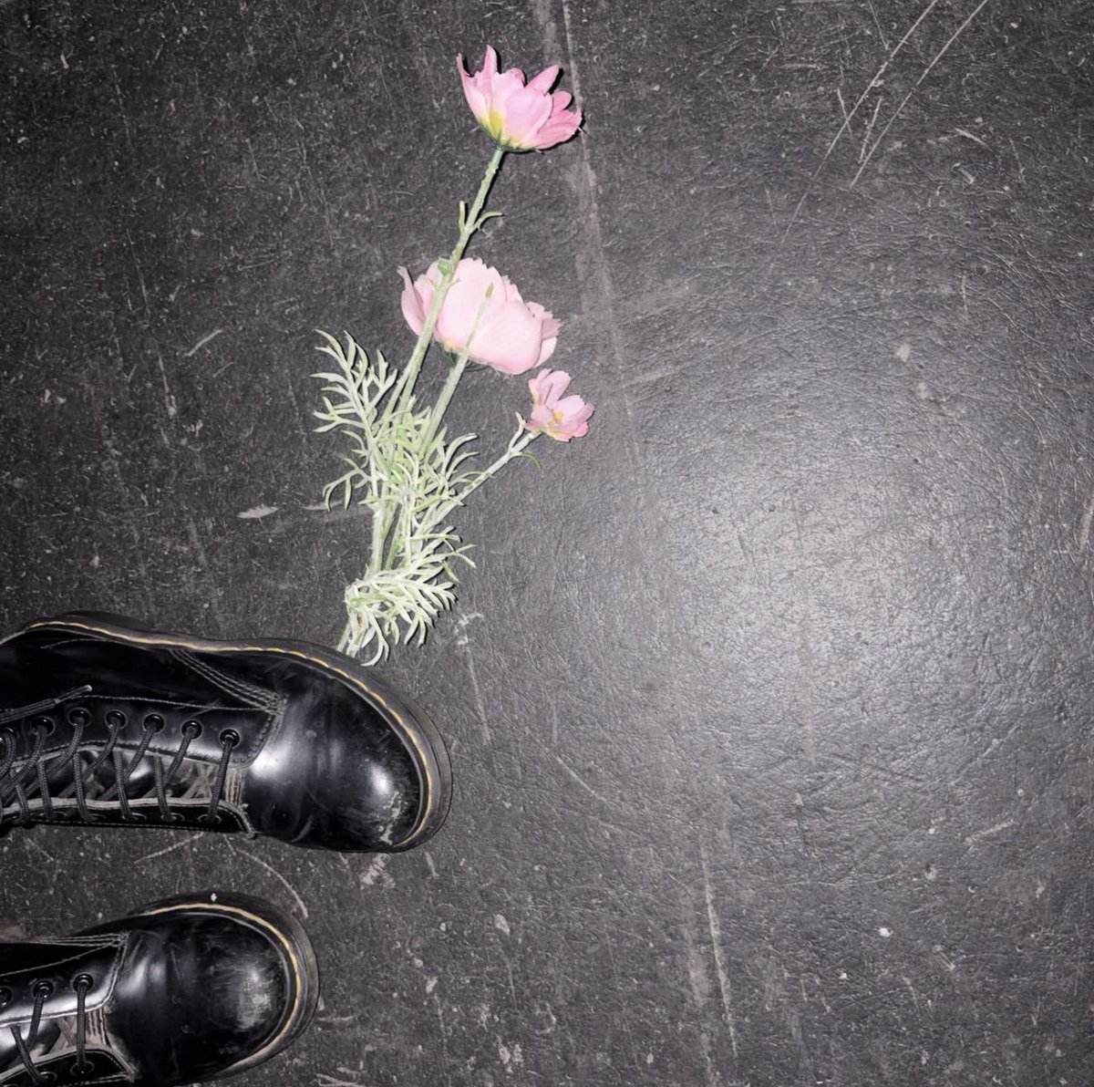 DailyRodrigo's tweet photo. Olivia via her Instagram!

“twas the night before the unraveled tour” https://t.co/tBE2cqZ6rq