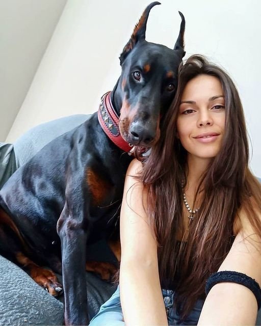 PinkyPawHubb's tweet photo. Nothing beats having a happy pup ready to make memories with you, wherever the day takes you 🐾❤️ Come along for more

https://t.co/od8gxulh9s https://t.co/1ozo9rAYSi