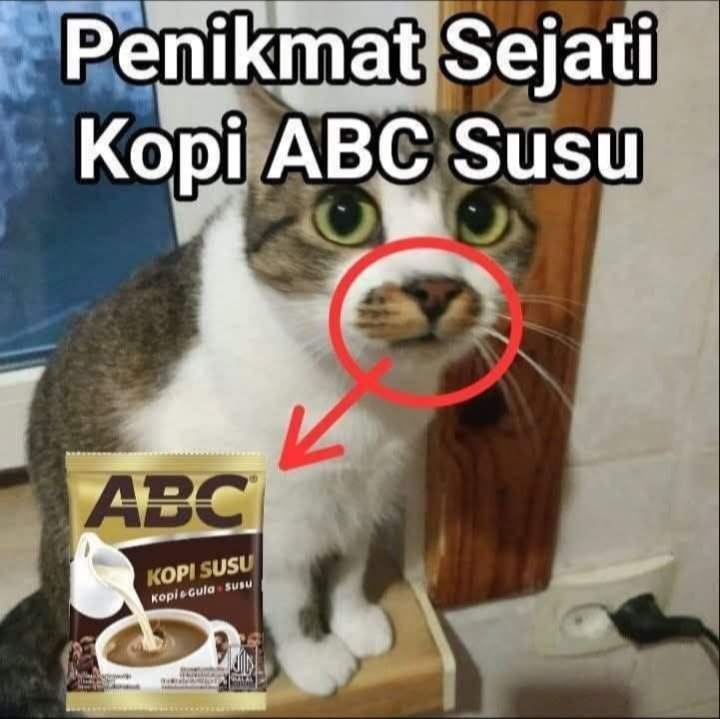 cereusniight's tweet photo. Cukingnya https://t.co/7AKyeg2nfU