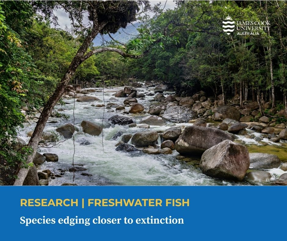 jcu's tweet photo. Many of Australia's unique freshwater fish species are edging closer to extinction, with new research warning that the nation's Wet Tropics is facing an escalating conservation crisis.
Full story: https://t.co/cJcGlI4sLE https://t.co/gaz81sCzaf