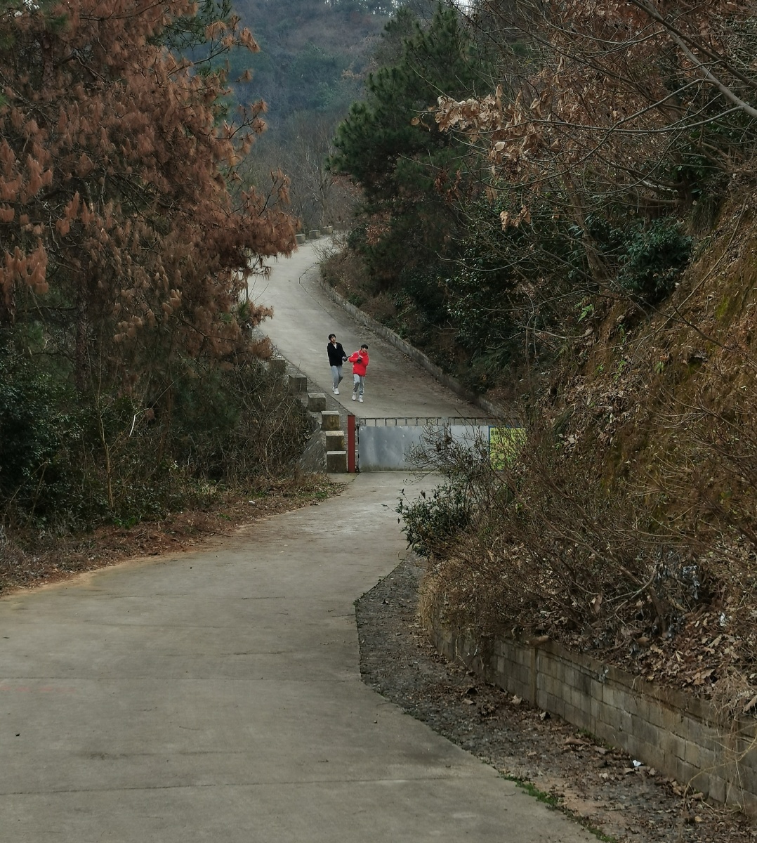 rlagksruf1234's tweet photo. This rocky path’s full of hardships, but we’ll trudge on through—no pain stops us! https://t.co/5x2cusEPR6