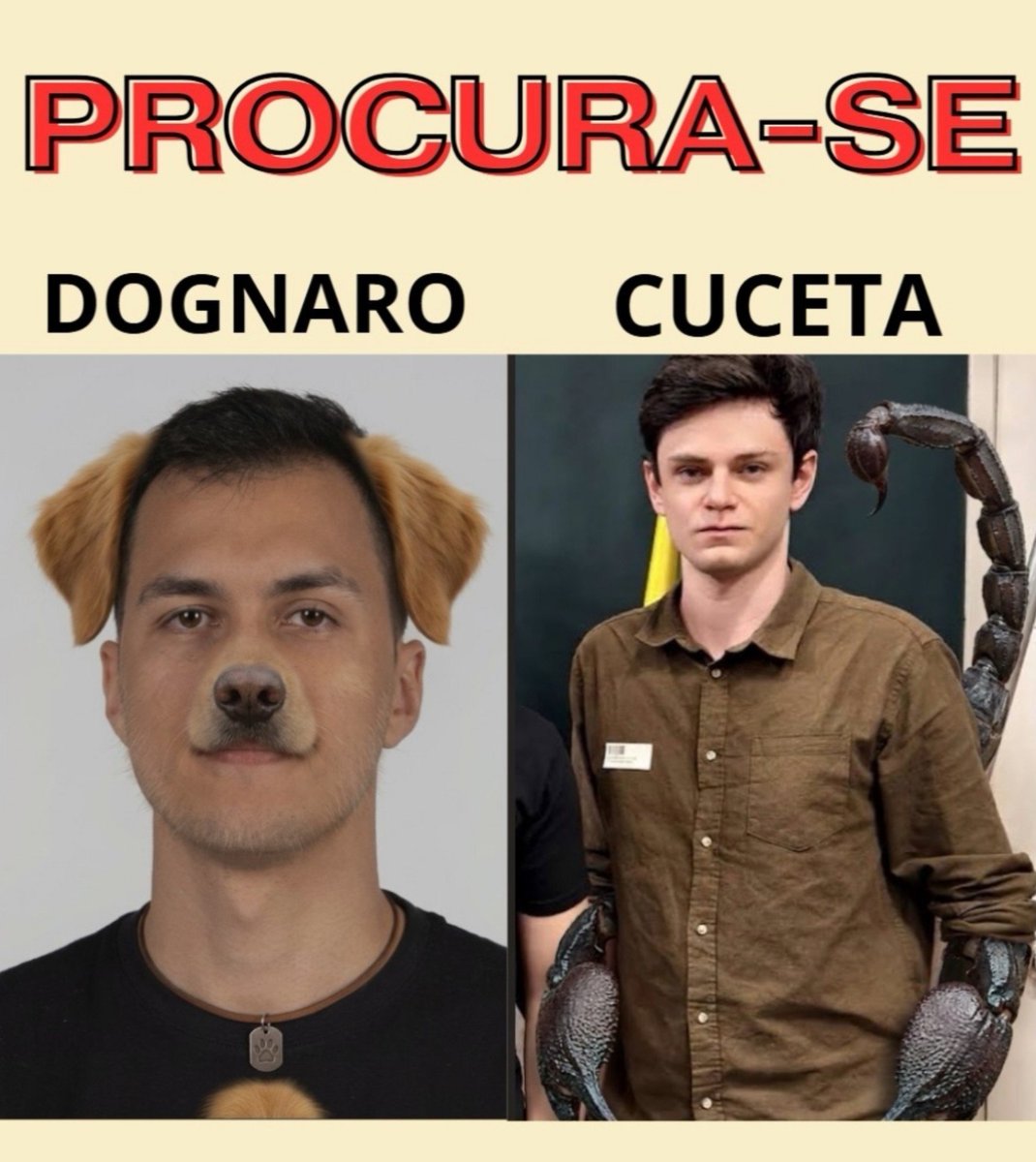 RodrigoOlirpbn's tweet photo. @moura_101 @aguedescartoon https://t.co/eN8GNqQ3v1