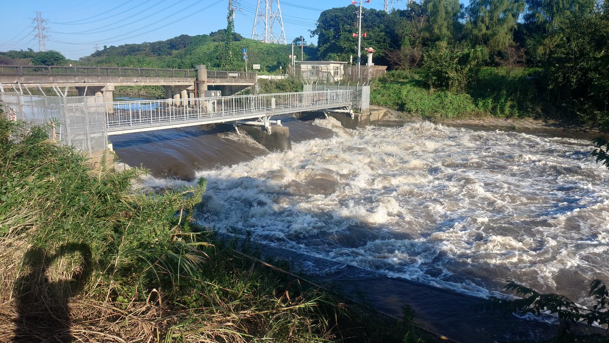tetchan_club's tweet photo. 洪水の被害にあってる印旛沼の水を全開で抜いている花見川をご覧下さい。
ゴミの位置からするとあと1.5m程度は水面上がっていた模様。
江戸時代のエンジニアが夢見た東京湾への放水路が今活躍しています。 https://t.co/QeR3iqH48Q