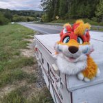 Photo by Allen (@AllenTheWolf)