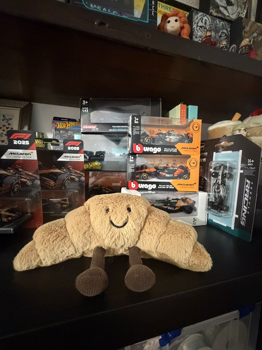 walkerk0405's tweet photo. @laurogeitabat Here’s mine keeping my car collection company! 🧡🖤 https://t.co/jm2GzCNRrK