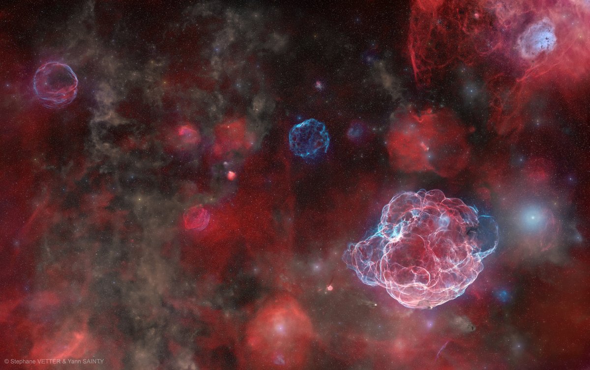 apod's tweet photo. The ghosts of five supernovas haunt this extraordinary image. 

It was acquired at Oukaïmeden Observatory in Morocco with approximately 200 hours of observations and shows a large patch of the sky, equivalent to the area of one thousand full moons tiled together, in the constellation of Auriga (the Charioteer). From left to right, the five supernova remnants visible across the field are G181.1+9.5, G182.4+4.3, G179.0+2.6, G180.0−1.7 (Sh2-240, the Spaghetti Nebula), and G178.2−4.2. They are highlighted in the annotated image, together with open cluster M37 and the Tadpole Nebula. As each explosion expanded into space, it created a growing shell of shocked gas and delicate filamentary structures shown in red (hydrogen) and blue (oxygen), respectively. These ancient stellar explosions happened independently; they are at various distances up to about several thousands of light-years away from Earth and have estimated ages up to tens of thousands of years old. Early humans may have witnessed them as bright new stars, fading over weeks or months.

Image Credit & Copyright: Stephane Vetter, Yann Sainty 
Text: Cecilia Chirenti (NASA GSFC, UMCP, CRESST II)
