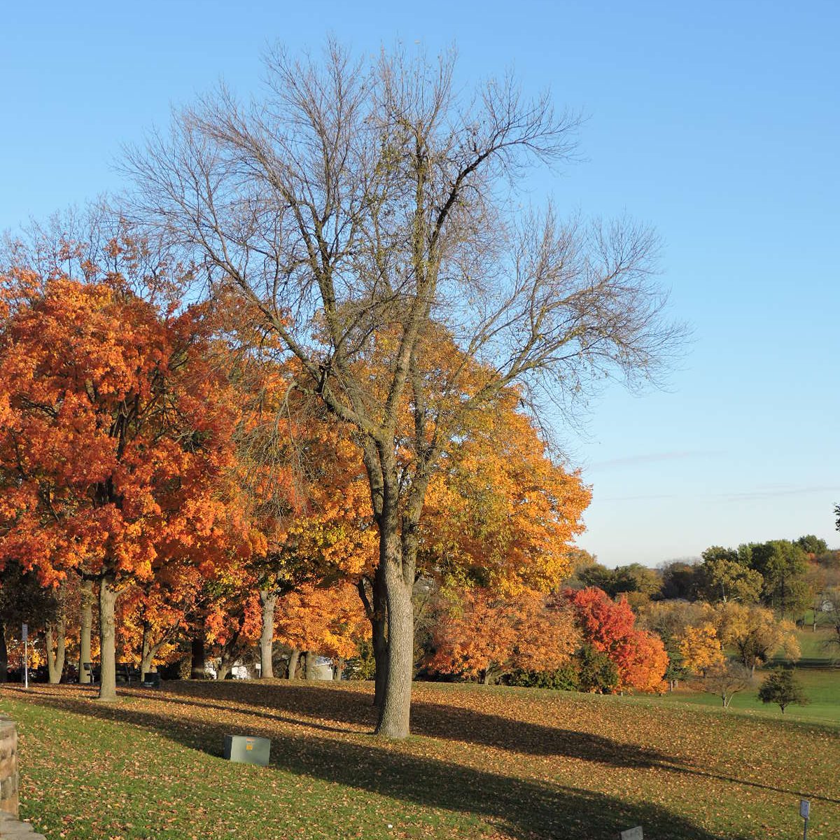 CityofCRiowa's tweet photo. 🍁 Make room for some outside time this fall. Cedar Rapids parks and trails offer places to walk, ride, play and explore as the season changes. 🚶‍♀️🚲
 
Find your next stop: https://t.co/eusf4ExtSr | https://t.co/JAGXI1zUog
 
#CedarRapids #PlayCR https://t.co/mTFHMfCp2b