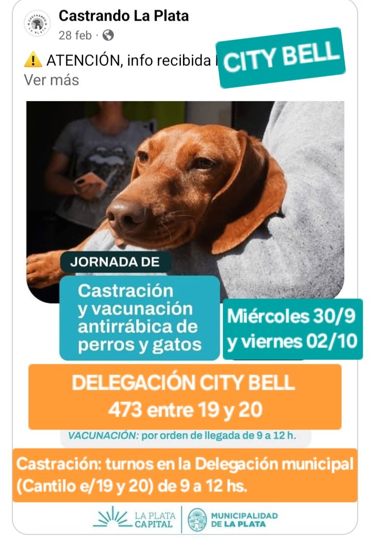 protegealanimal's tweet photo. LA PLATA
#LAPLATA #CITYBELL #VILLAELVIRA #HERNÁNDEZ #VILLAELISA #MELCHORROMERO #COLONIALAPLATA #ELBOSQUE #GONNET #RINGUELET #ALTOSDESANLORENZO #ABASTO #CITYBELL #ELRINCÓN #GORINA #VILLACASTELLS #BSAS #BUENOSAIRES https://t.co/dqun6Xmdj3