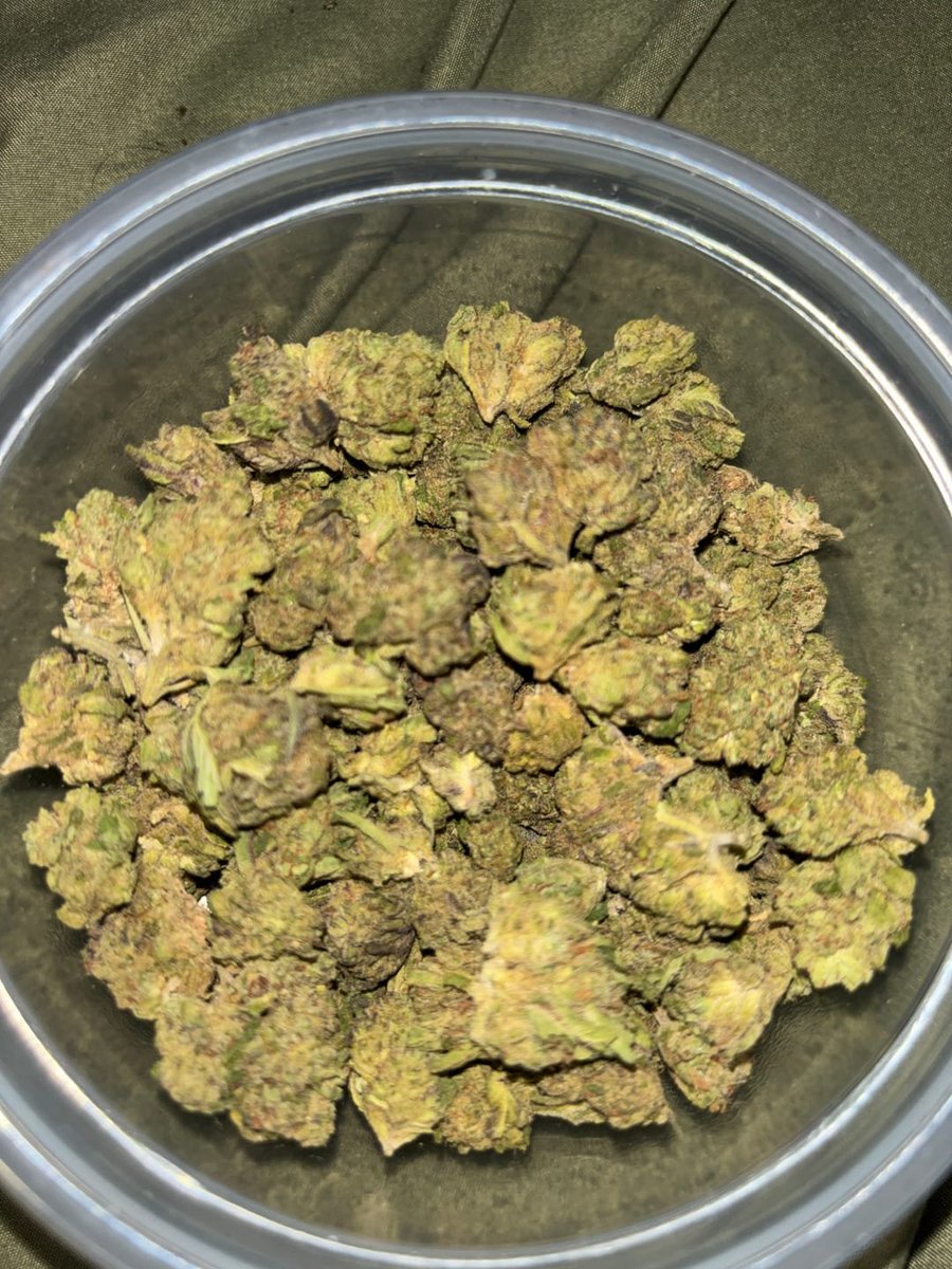 Hellaslump3187's tweet photo. Smoked okay still got me lit tho lol
Item type:
14g / Octane Gas

#turksandcaicos #Travel #Lifestyle #IslandVibes #Exploreturksandcaico
#weed #shit #3mmclivraison #beuhsurparis #tazz #cocaïne #coco #Occitanie #paris https://t.co/R8dTV8U7KV