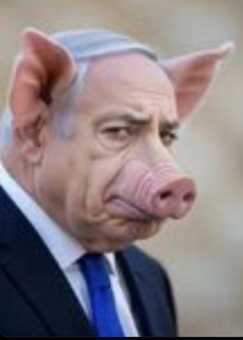 blackspyman's tweet photo. @Jewishlegend18 https://t.co/KrxhT8LDpV