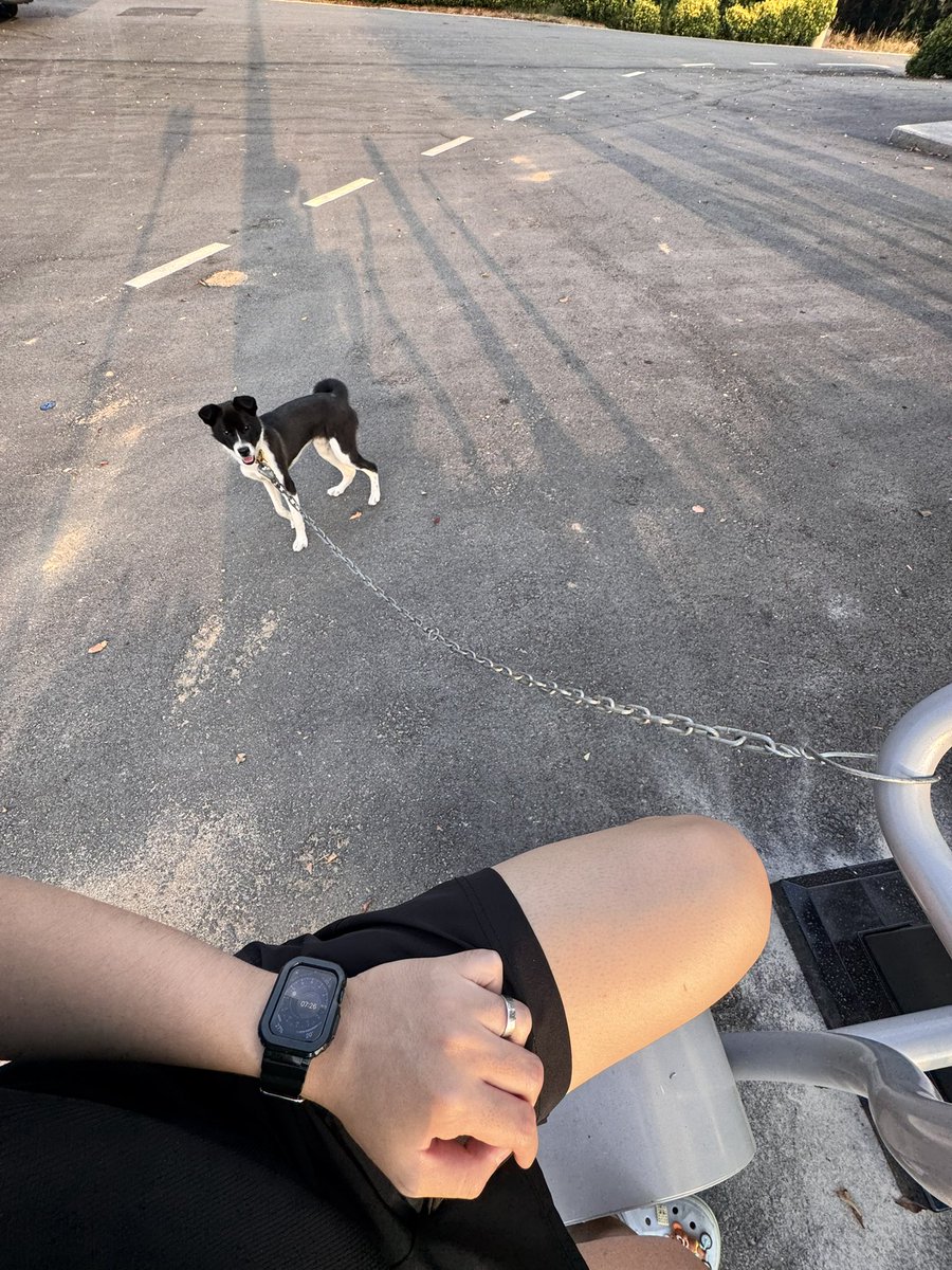 tenochsiwo's tweet photo. 시골의 장점
아침에 눈뜨자마자 안씼고 퉁퉁부은 상태로 산책해도 아무도 안마주침 https://t.co/idVH7Ak9bs