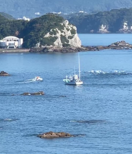 minpintoo's tweet photo. #TaijiCoveJAPAN🔴: After days of setbacks, due to bad weather, the #DolphinHunters got lucky again today, having just driven a sizeable pod, species yet to be confirmed, into the Cove, now awaiting their fate... 🐬🐬but earlier they were preparing a seapen https://t.co/fH8vR8eVJM https://t.co/74ptDzaf8c