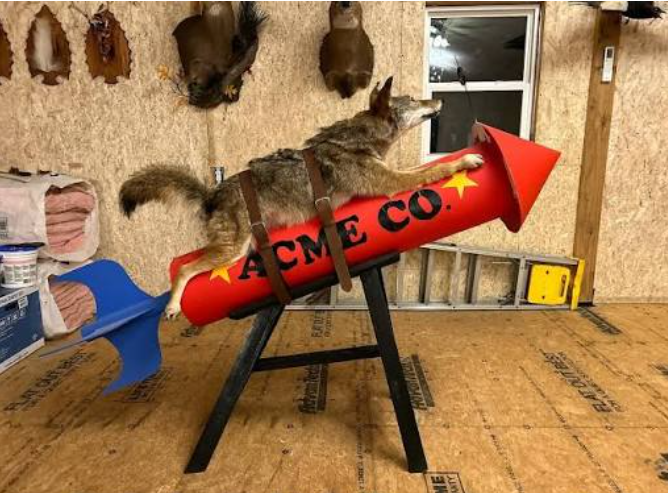 Bashmatchkin's tweet photo. @UltimoLegend And Zelensky said he will visit Moscow on a rocket. Get 're done. https://t.co/OdloyLY9v6
