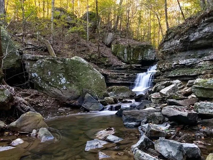echothewolff's tweet photo. Sometimes a short walk in the woods can land You in the most Beautiful Relaxing an Life Centering Location You could've Ever Dreamed Of. https://t.co/s0Uz6RO4ny