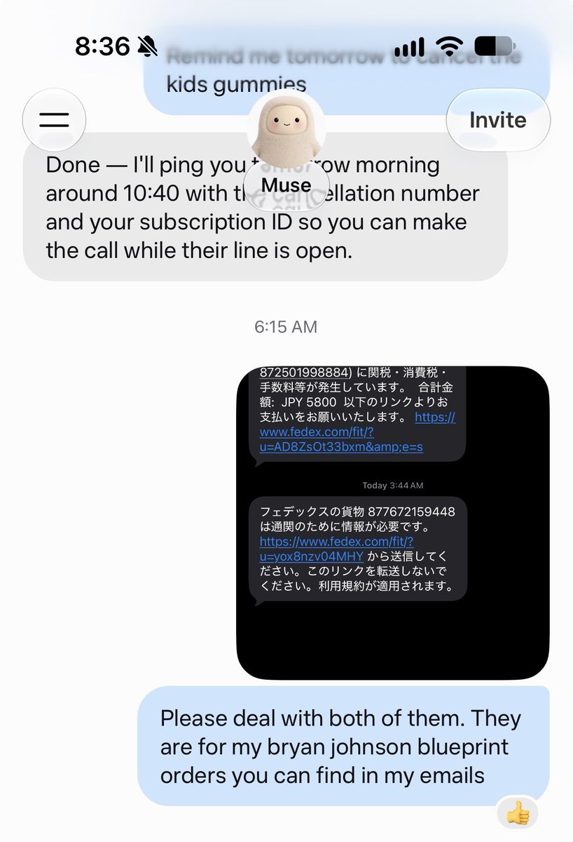Muse handles my Japanese customs duties for me