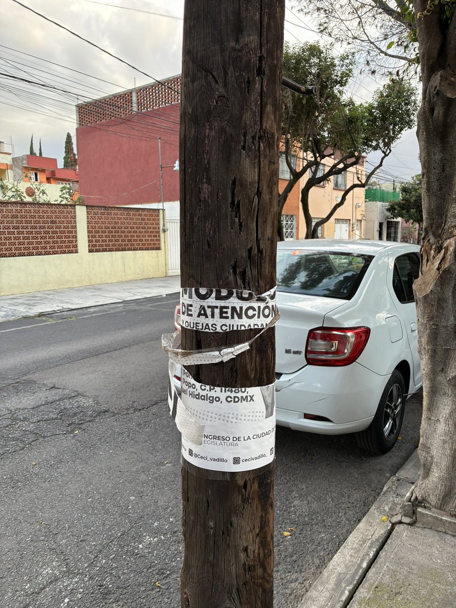 PoderAGAzcapot's tweet photo. Así se trata la basura de @Ceci_vadillo https://t.co/z4xQN5cpeq