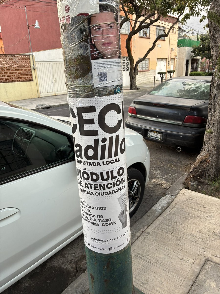PoderAGAzcapot's tweet photo. Así se trata la basura de @Ceci_vadillo https://t.co/z4xQN5cpeq