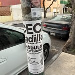 Photo by PoderAG Azcapotzalco (@PoderAGAzcapot)