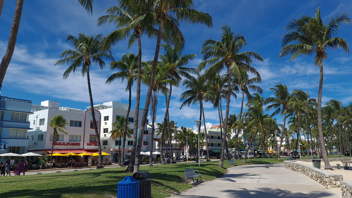 CneqTravel's tweet photo. Miami and cuban food https://t.co/vd5VRpyC7O