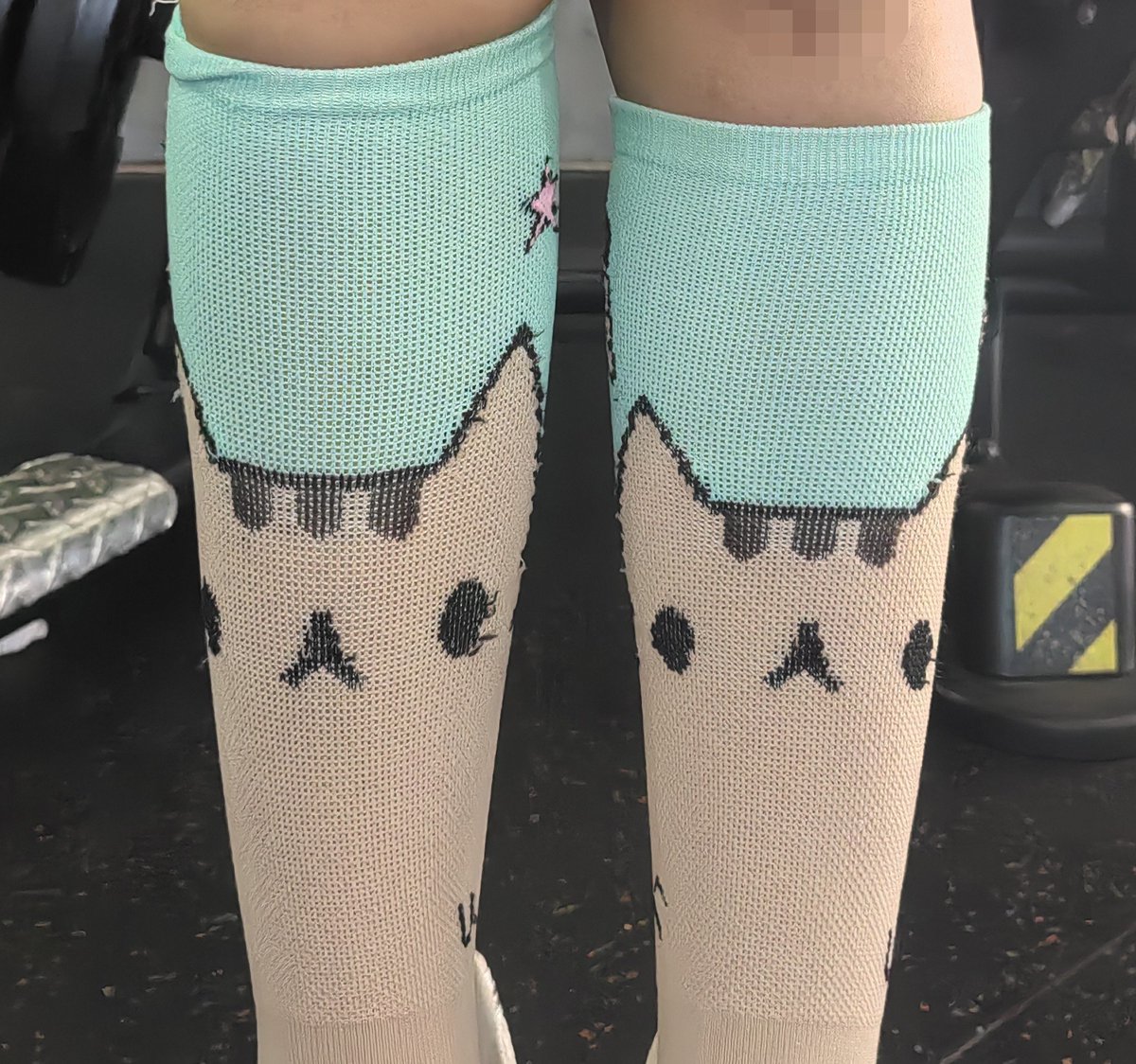 akeputo's tweet photo. No se nota que amo a #pusheen
Así para darle con todo al gym https://t.co/atzNlwU1DO