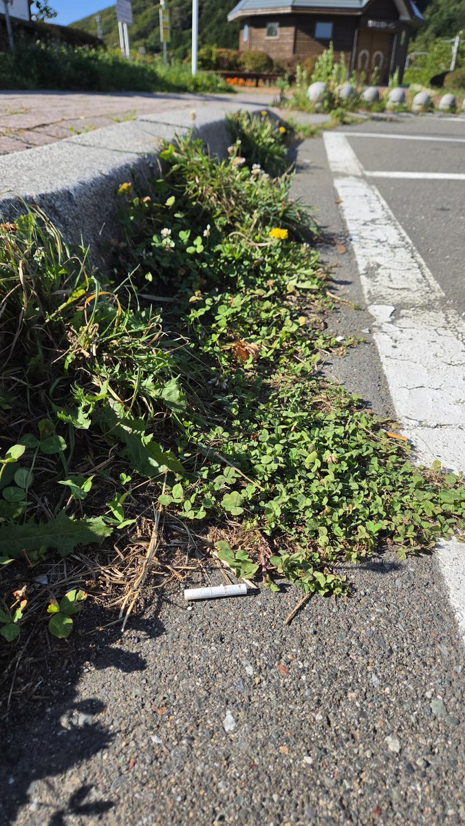 niikappu_ta's tweet photo. 新冠町のサラブレッド銀座駐車公園。

タバコのポイ捨てが絶えません。利用する一人一人の意識で、きれいな公園を。 https://t.co/KBUNRCVUvf