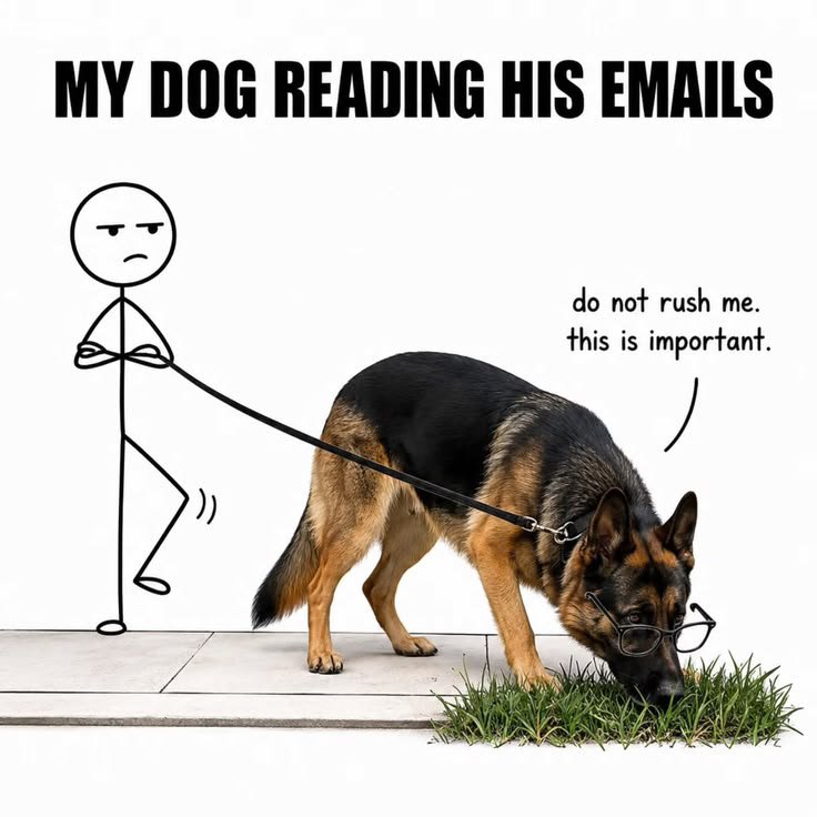 petpopular's tweet photo. https://t.co/HDCKOYcsNd
