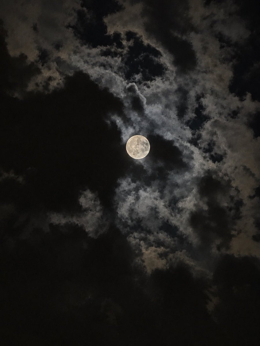 TurkiAlayadi's tweet photo. الليالي القمرية… تعيد للإنسان شاعريته 🌝
#القمر. https://t.co/3oHuCyk8Bh