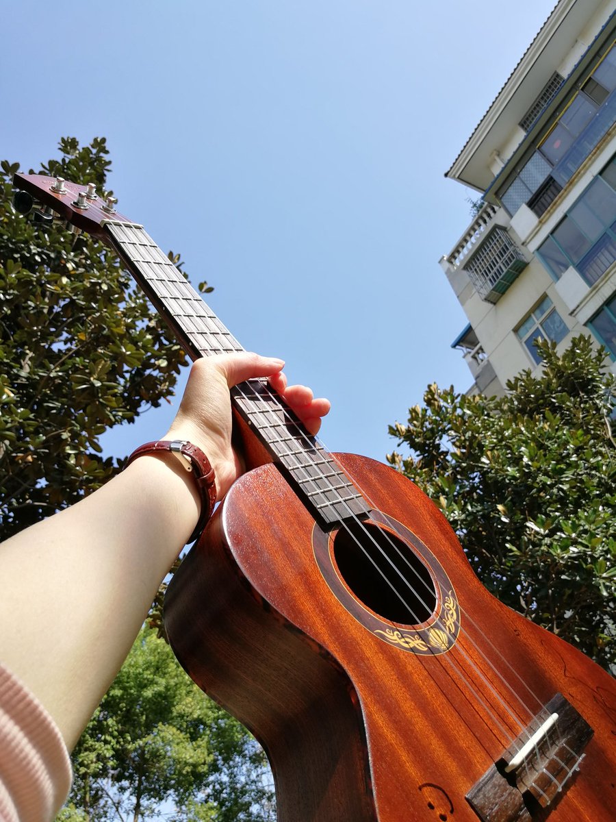 bagtaeun3's tweet photo. When a brave soul strums the reed harmonica, its melodious notes fill the air with warm, heartfelt vibes. https://t.co/ciLLSNaEhb