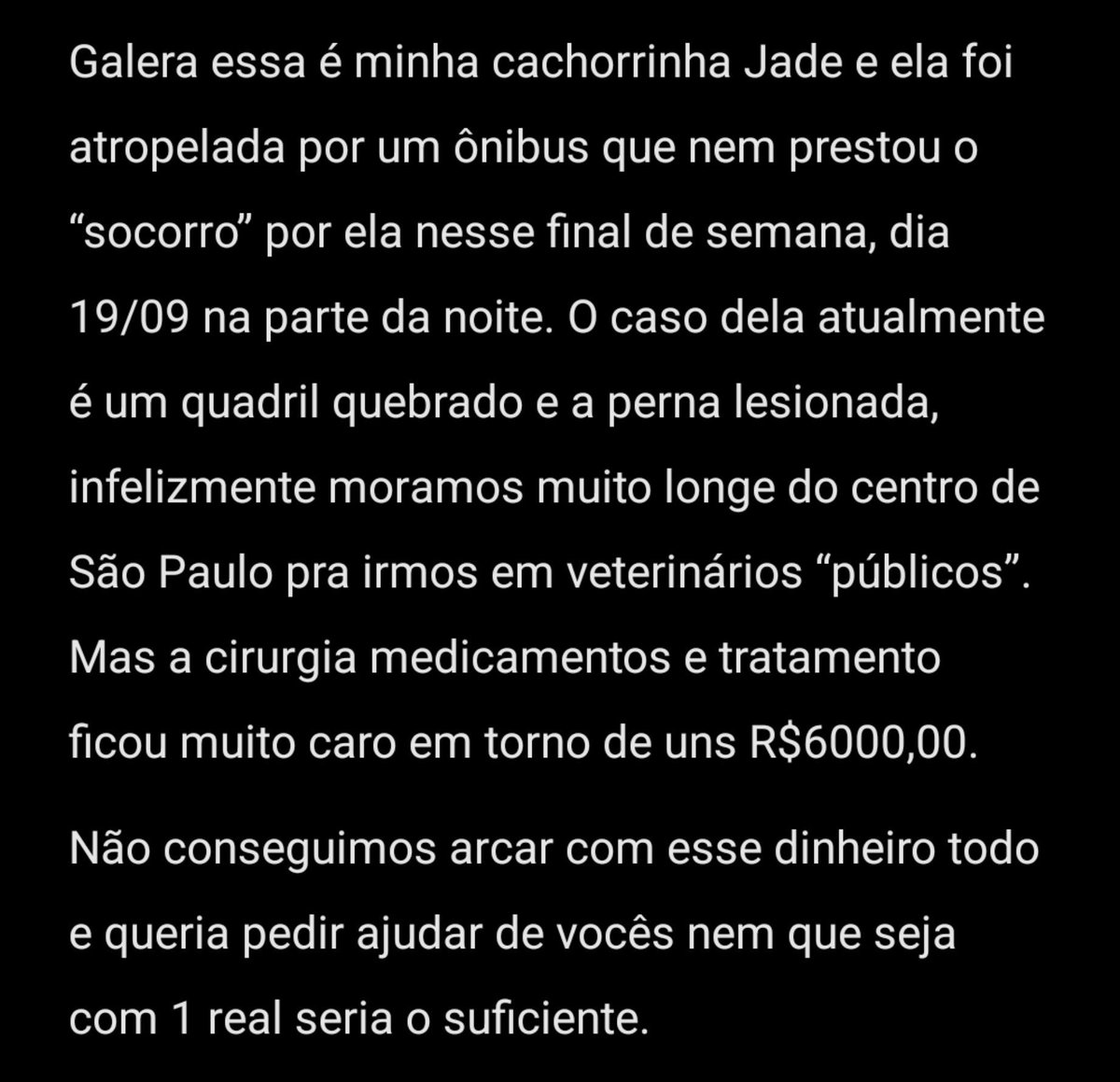 Bebellatzzh's tweet photo. Oi pessoal, infelizmente a cachorrinha da minha amiga sofreu um acidente e eu tô aqui pra ajudar ela a arrecadar dinheiro para a cirurgia. Então se vocês puderem doar ou compartilhar já seria de grande ajuda, a Jade é muito especial!!

emillyoliveiradosanjos3@gmail.com - Pix https://t.co/ND3gyMxxw7