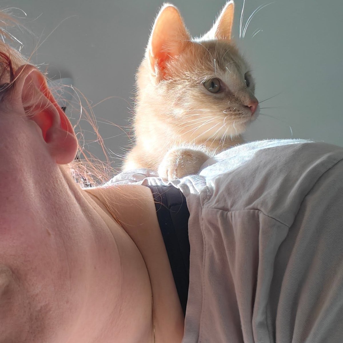 violetnelson25k's tweet photo. I gave my mom a neck massage today when she complained about being stiff. Luckily, I’m a baking master 😼🤌🏼 https://t.co/gYPy8Gb43o