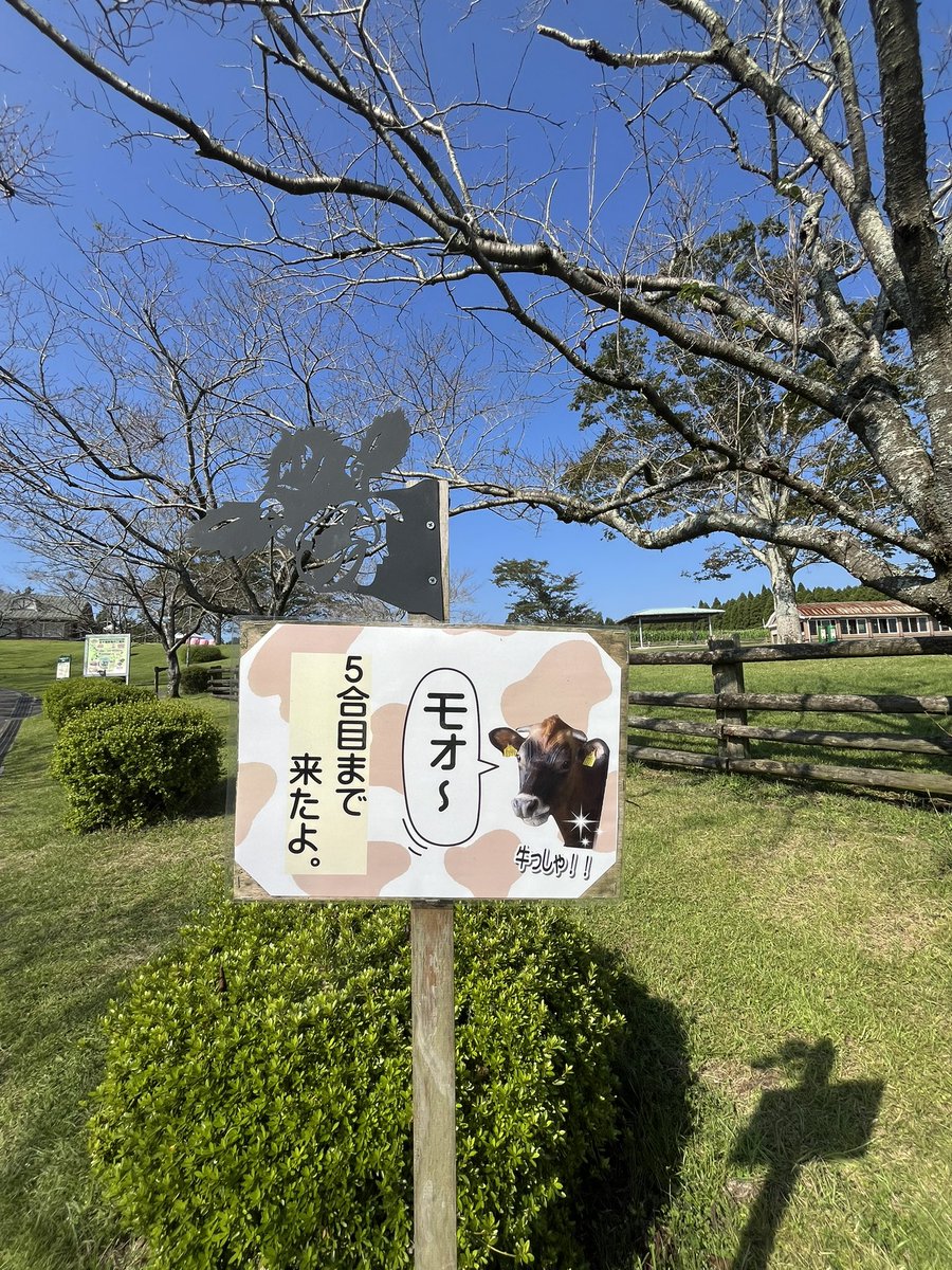 EnSono_'s tweet photo. 帰る前に🐸
『高千穂牧場』へ https://t.co/5B0MEGMoWb