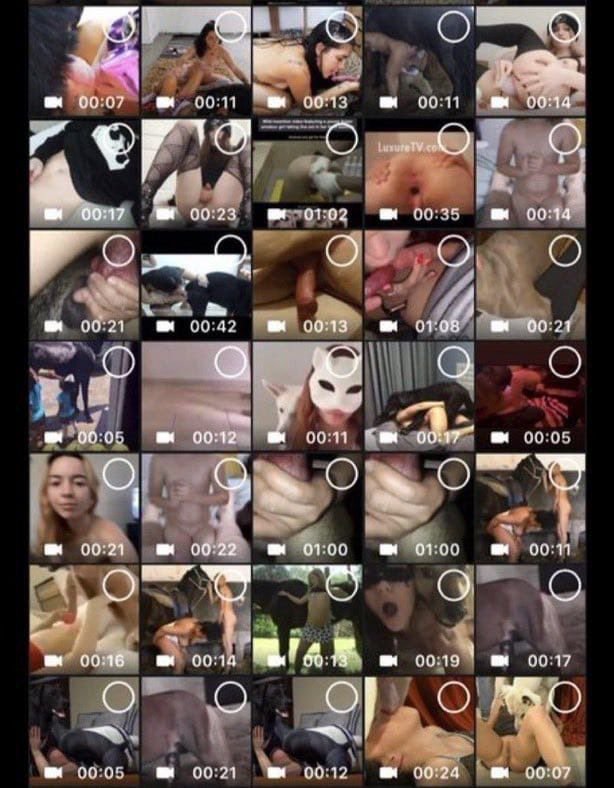 pricessslops's tweet photo. Let me satisfy your curiosity with my explicit zoo/taboo videos with full access to watch and download more in my mega premium group channel link access 🖇️🖇️https://t.co/KPOZXV1quU... https://t.co/aqOALaxiCr