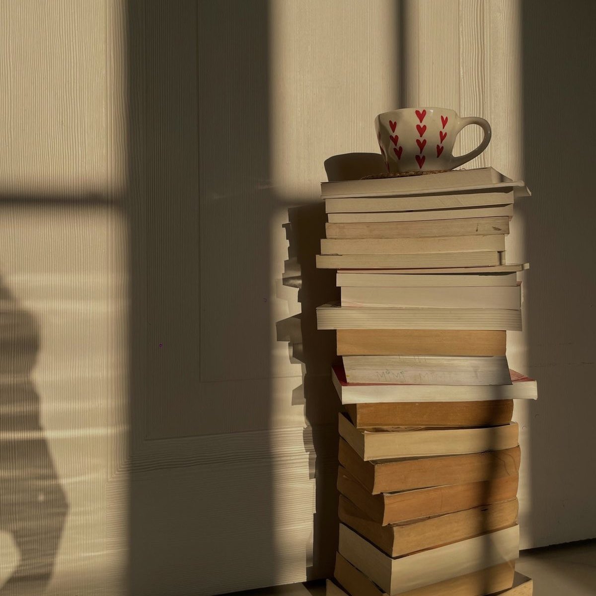 sapphictaIes's tweet photo. —• books of 𝟐𝟎𝟐𝟔 https://t.co/xnKhjMNK4k