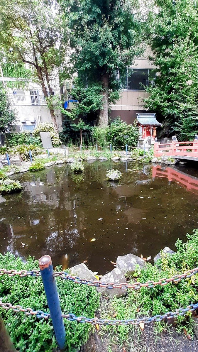 shrinepilgrim's tweet photo. 小梳神社
#静岡市
#葵区
#紺屋町
#建速須佐之男命
#奇稲田姫命
#神社参拝
#shrine
#shintoshrine
#shrinepilgrim
#pilgrim
#pilgrimage
#localguides
#tankensurujapan https://t.co/MaqdQgwlmU