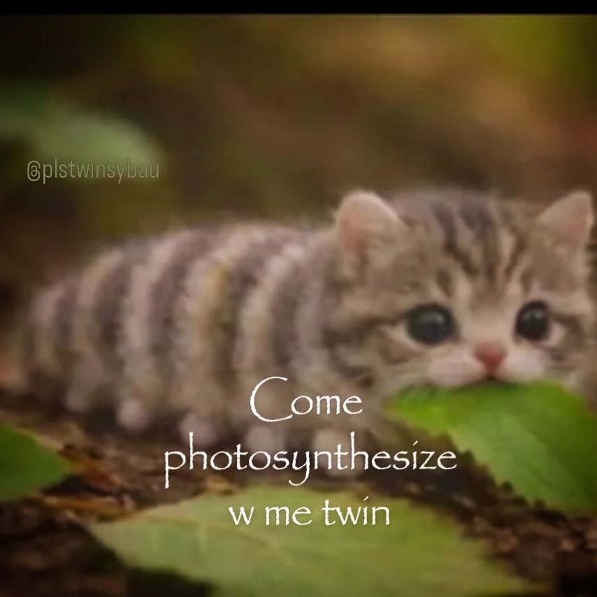 wontmiss_'s tweet photo. https://t.co/hafIwPmeJJ