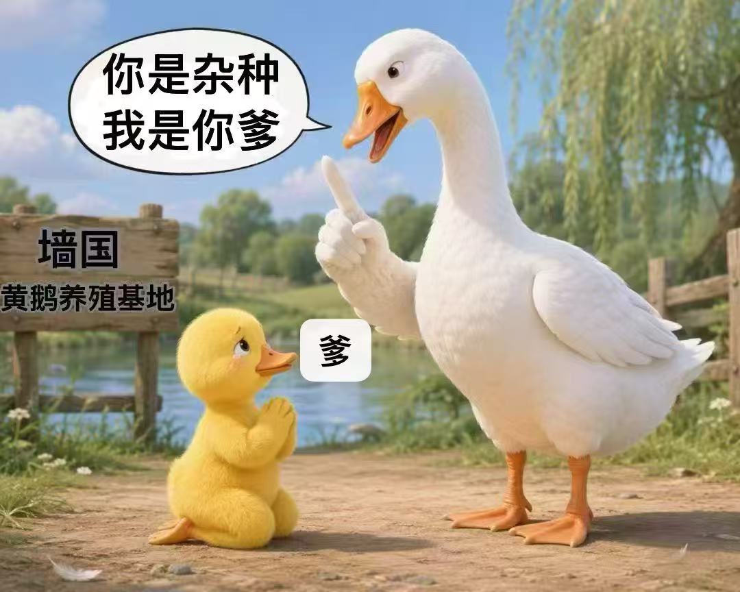 Jackcen188's tweet photo. @jian53056472141 马劣殖奴又对着 10000 卡意淫撸管了，可怜的底层人矿牛马穷 B！ https://t.co/nNjE6oAaIs