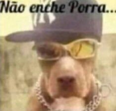 Eveg4y's tweet photo. Quando eu taca o fds e manda todo mundo toma no cu eu vou ser a ruim da história. https://t.co/1Fzrc8PxBp