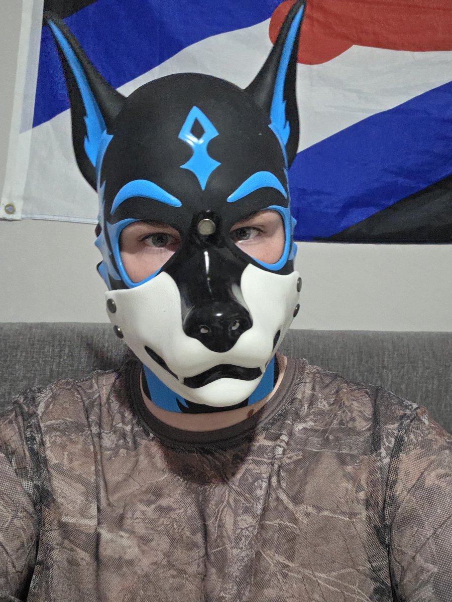Shirouwolf27's tweet photo. Shout out to @Pupjoi for the AWESOME VOLTPUP HOOD.

Its so cute and Comfortable. https://t.co/2nHGbq4qUl