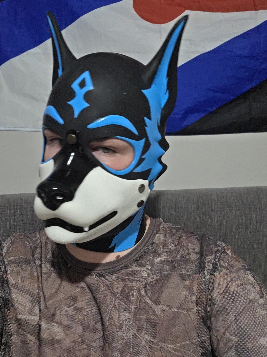 Shirouwolf27's tweet photo. Shout out to @Pupjoi for the AWESOME VOLTPUP HOOD.

Its so cute and Comfortable. https://t.co/2nHGbq4qUl
