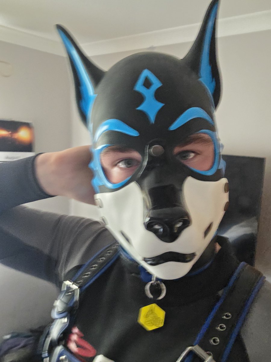Shirouwolf27's tweet photo. Shout out to @Pupjoi for the AWESOME VOLTPUP HOOD.

Its so cute and Comfortable. https://t.co/2nHGbq4qUl