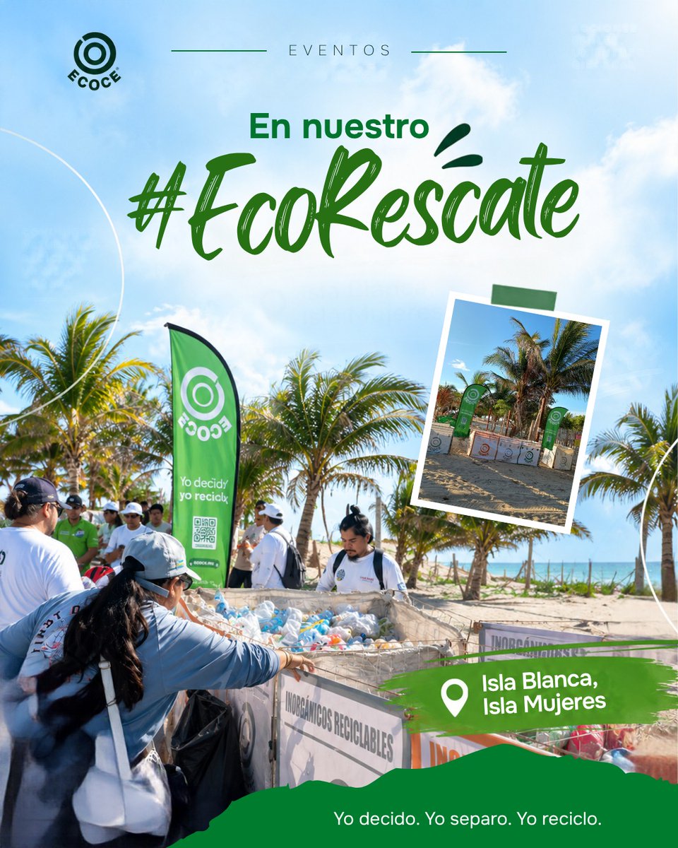 ecoceac's tweet photo. Hay lugares que nos regalan momentos increíbles. Y el pasado sábado 19 de septiembre, 250 personas decidieron devolverle un poco a Isla Blanca.
Durante la jornada logramos acopiar:

♻️ 25 kg de PET
🥫 3.5 kg de aluminio
🍾 95 kg de vidrio
🌱 30 kg de orgánicos
🗑️ 950 kg de inorgánicos no reciclables

Gracias a todas las personas, organizaciones y aliados que hicieron posible esta jornada. 💚

#Ecoce #EcoRescate #LimpiezaDePlayas #México