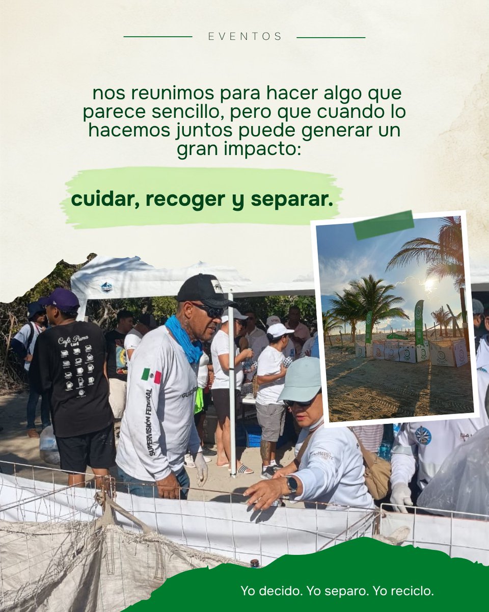 ecoceac's tweet photo. Hay lugares que nos regalan momentos increíbles. Y el pasado sábado 19 de septiembre, 250 personas decidieron devolverle un poco a Isla Blanca.
Durante la jornada logramos acopiar:

♻️ 25 kg de PET
🥫 3.5 kg de aluminio
🍾 95 kg de vidrio
🌱 30 kg de orgánicos
🗑️ 950 kg de inorgánicos no reciclables

Gracias a todas las personas, organizaciones y aliados que hicieron posible esta jornada. 💚

#Ecoce #EcoRescate #LimpiezaDePlayas #México