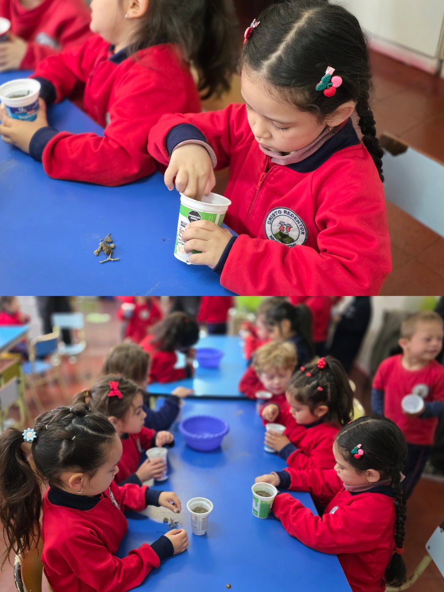 Josefermanelli's tweet photo. Así vivimos una hermosa jornada de Educación Ambiental junto a los peques del Jardín Escuela Parroquial Cristo Redentor. Aprendimos la importancia de producir y consumir vegetales de estación y elaboramos mini huertas que serán cuidadas por cada familia 🍃 https://t.co/u0ec0oQn0X