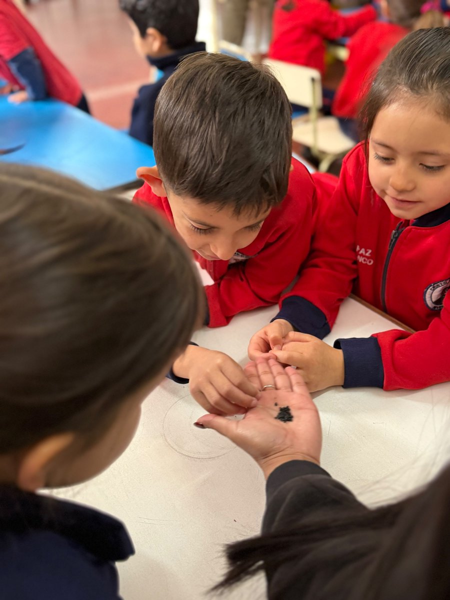 Josefermanelli's tweet photo. Así vivimos una hermosa jornada de Educación Ambiental junto a los peques del Jardín Escuela Parroquial Cristo Redentor. Aprendimos la importancia de producir y consumir vegetales de estación y elaboramos mini huertas que serán cuidadas por cada familia 🍃 https://t.co/u0ec0oQn0X